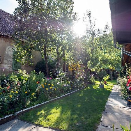 Villa Rihuini Eco Wine House Transylvania Richisu Dış mekan fotoğraf