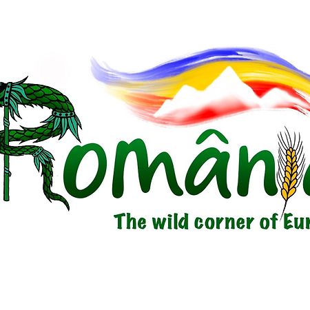 Villa Rihuini Eco Wine House Transylvania Richisu Dış mekan fotoğraf