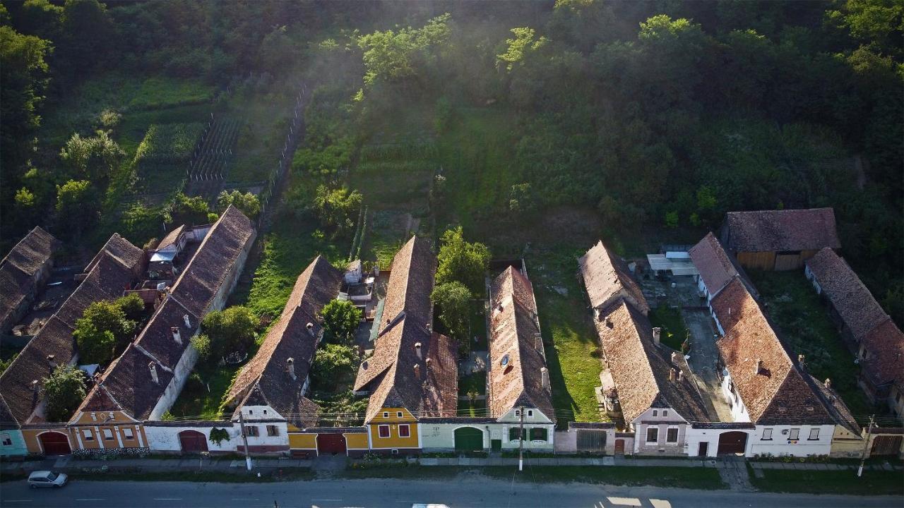 Villa Rihuini Eco Wine House Transylvania Richisu Dış mekan fotoğraf