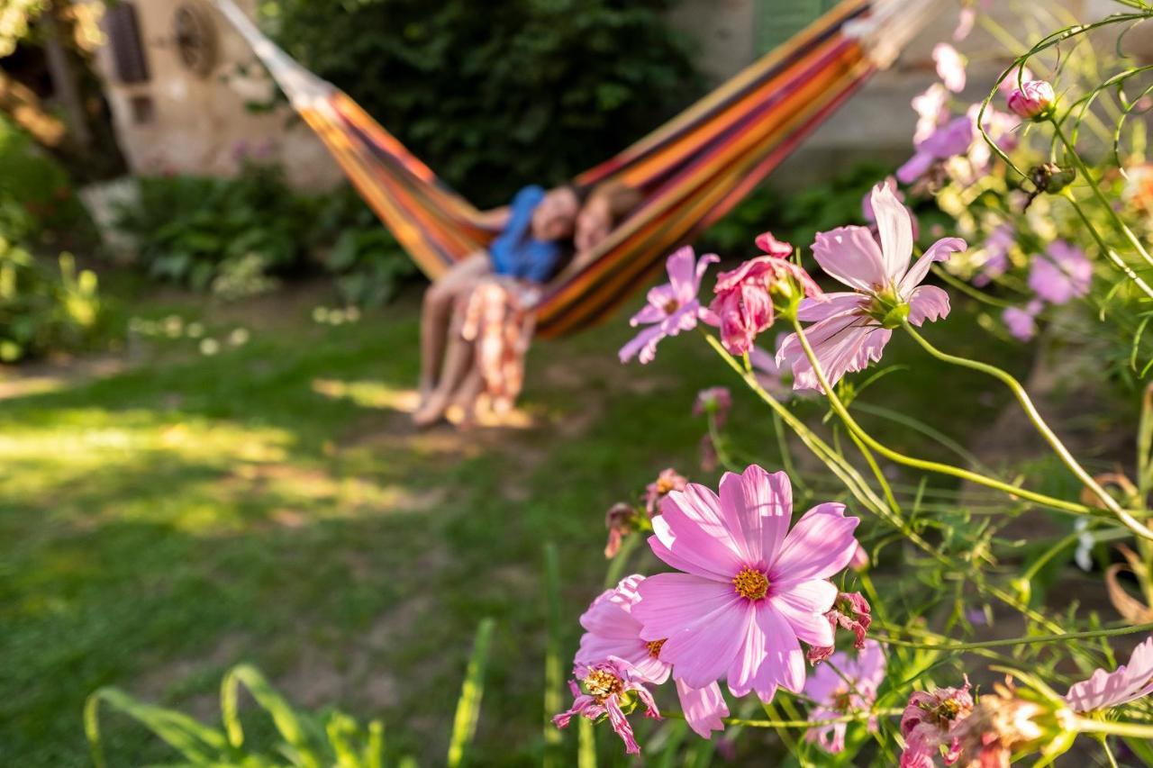 Villa Rihuini Eco Wine House Transylvania Richisu Dış mekan fotoğraf