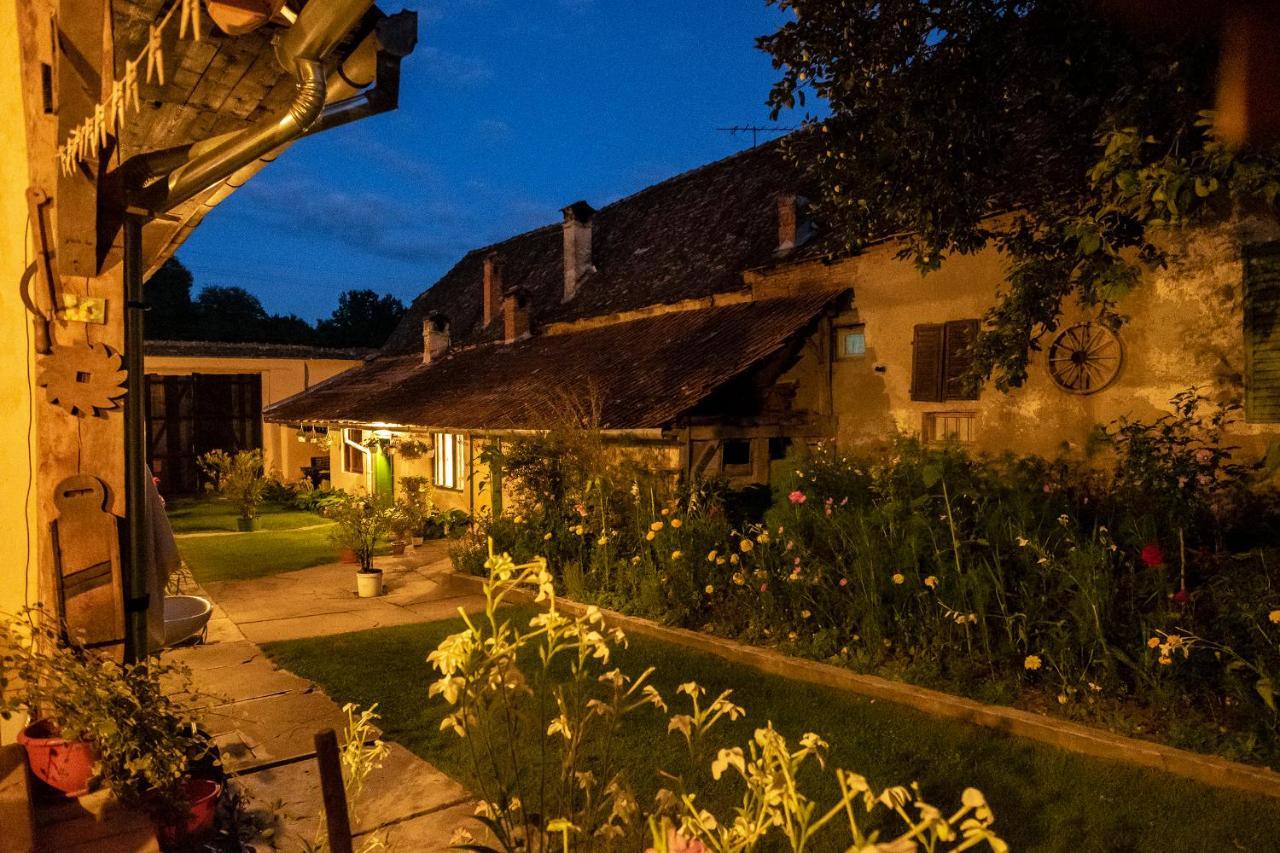 Villa Rihuini Eco Wine House Transylvania Richisu Dış mekan fotoğraf