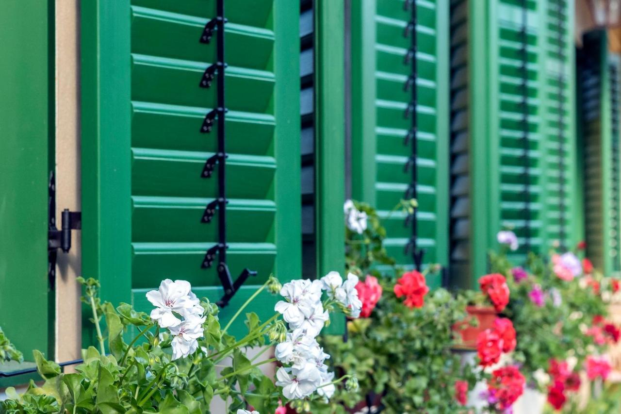 Villa Rihuini Eco Wine House Transylvania Richisu Dış mekan fotoğraf