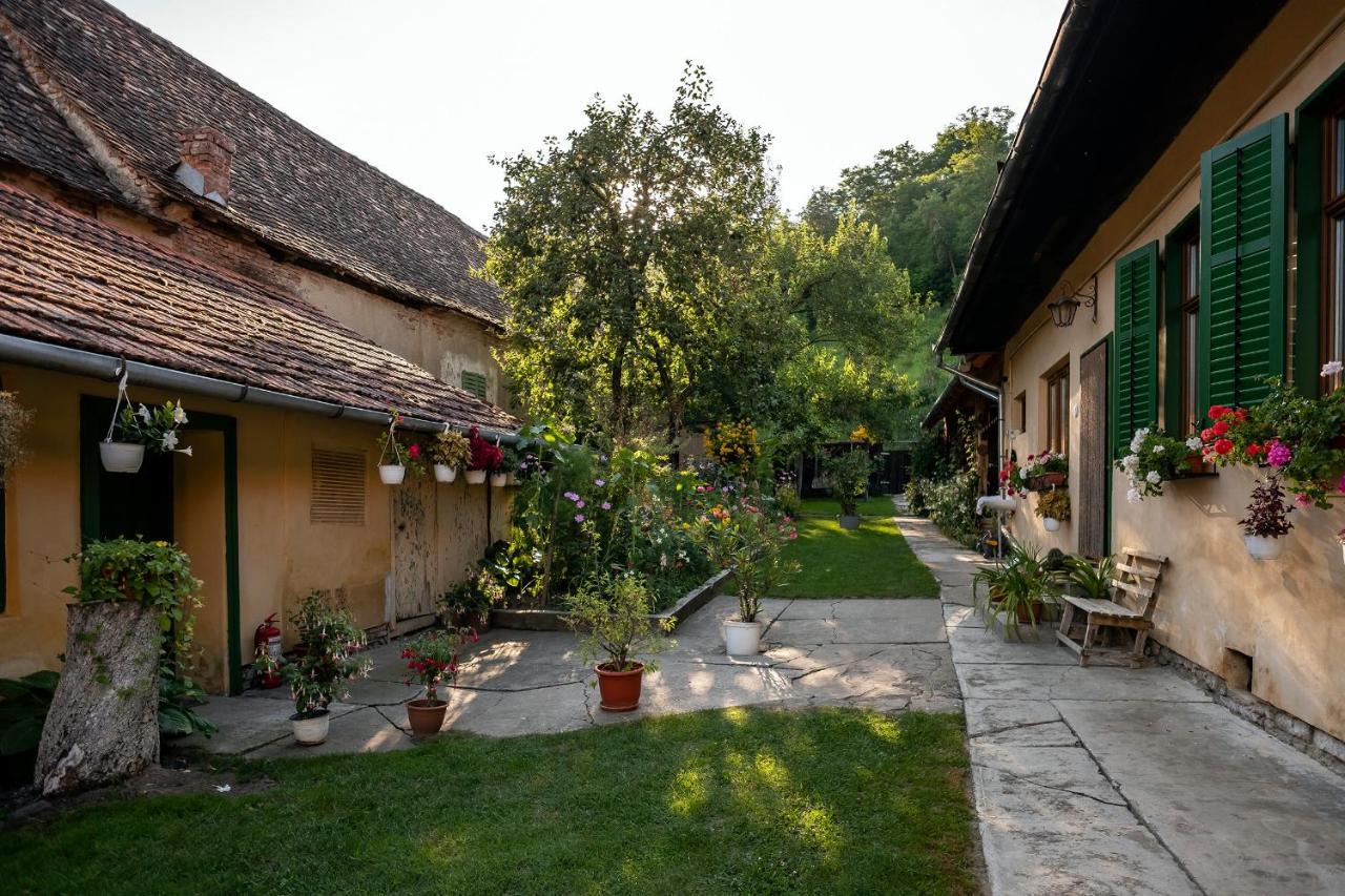 Villa Rihuini Eco Wine House Transylvania Richisu Dış mekan fotoğraf