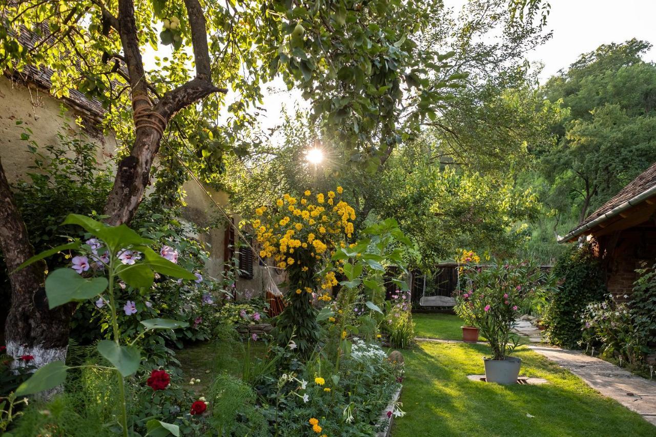 Villa Rihuini Eco Wine House Transylvania Richisu Dış mekan fotoğraf