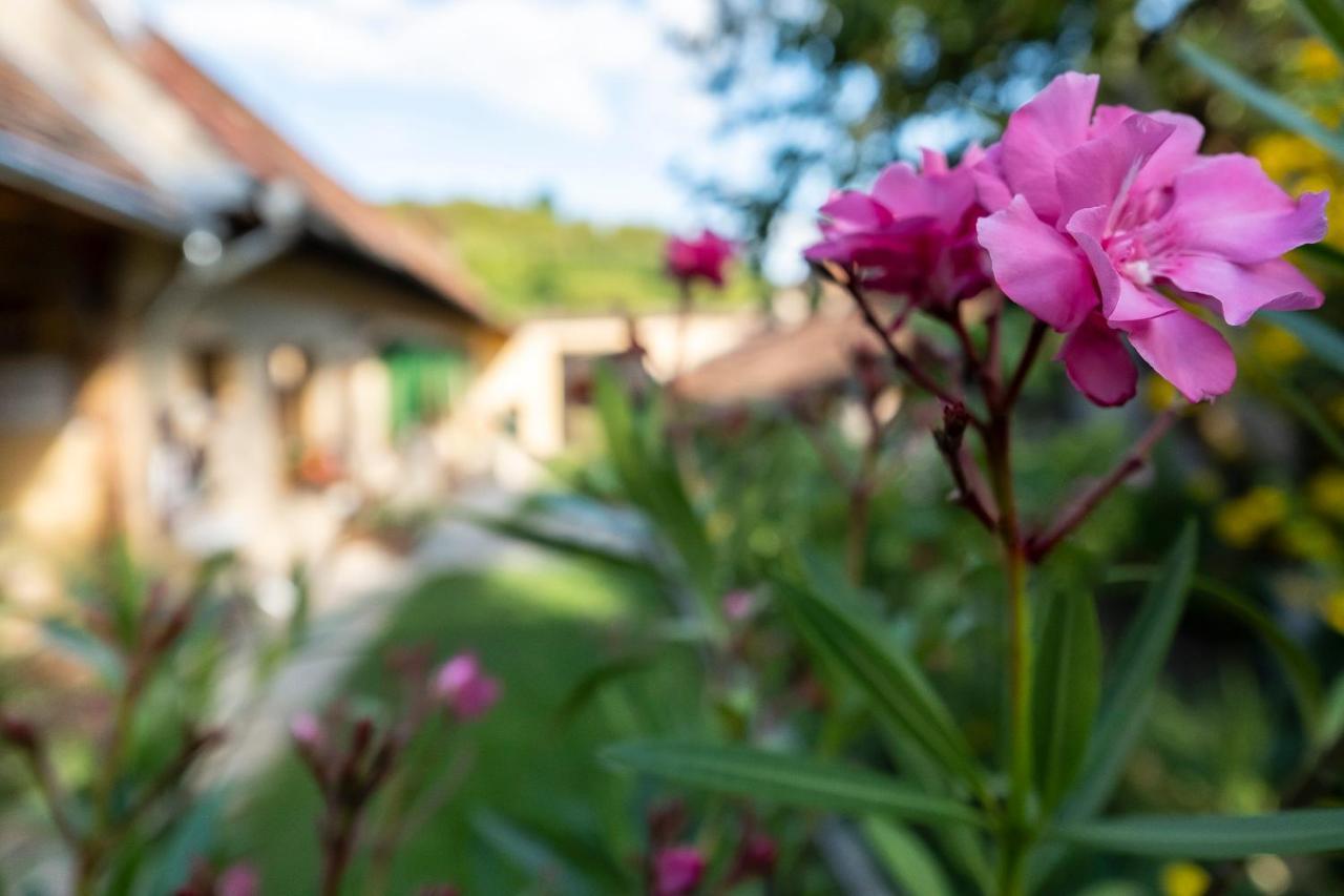 Villa Rihuini Eco Wine House Transylvania Richisu Dış mekan fotoğraf