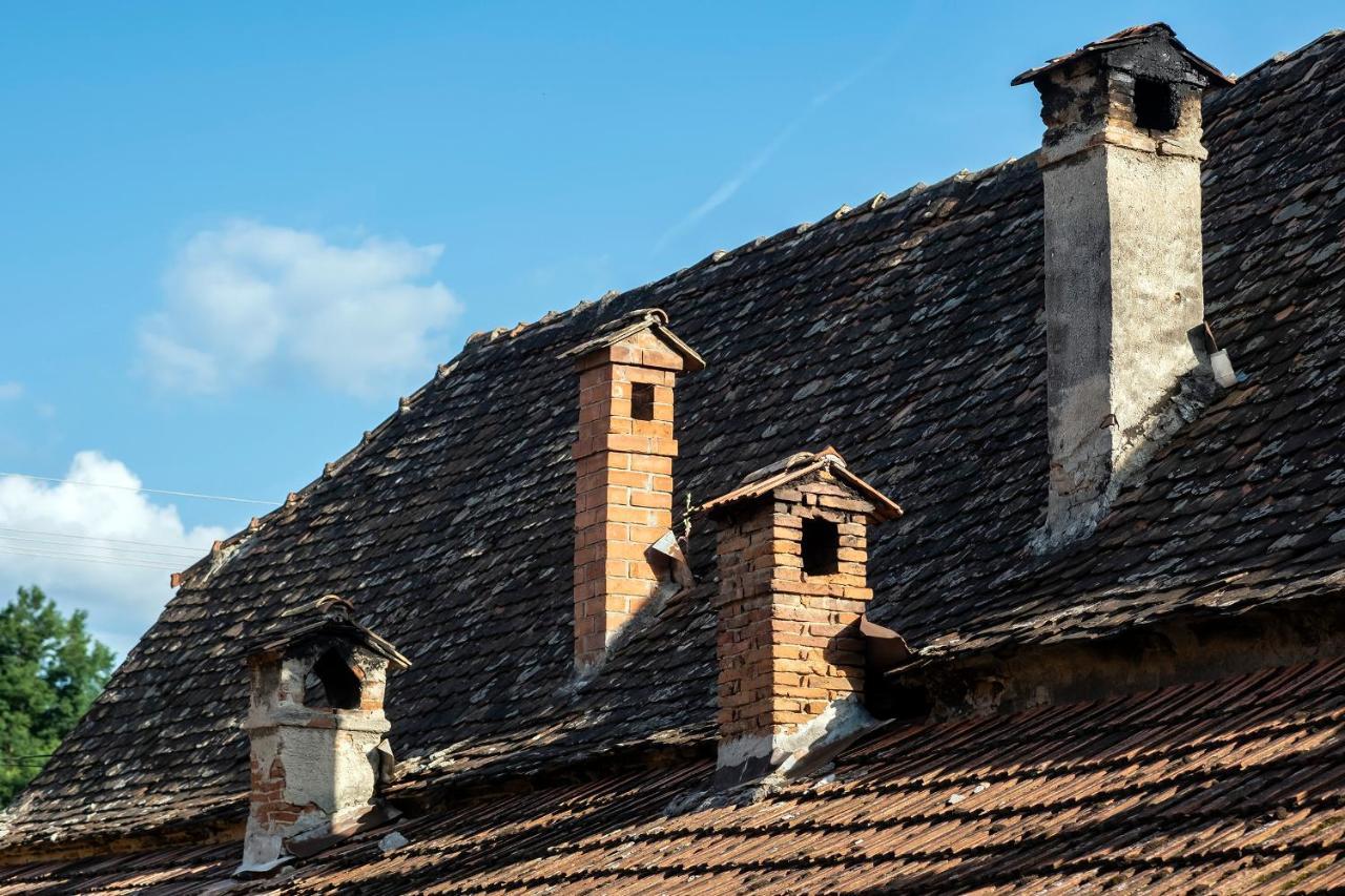 Villa Rihuini Eco Wine House Transylvania Richisu Dış mekan fotoğraf
