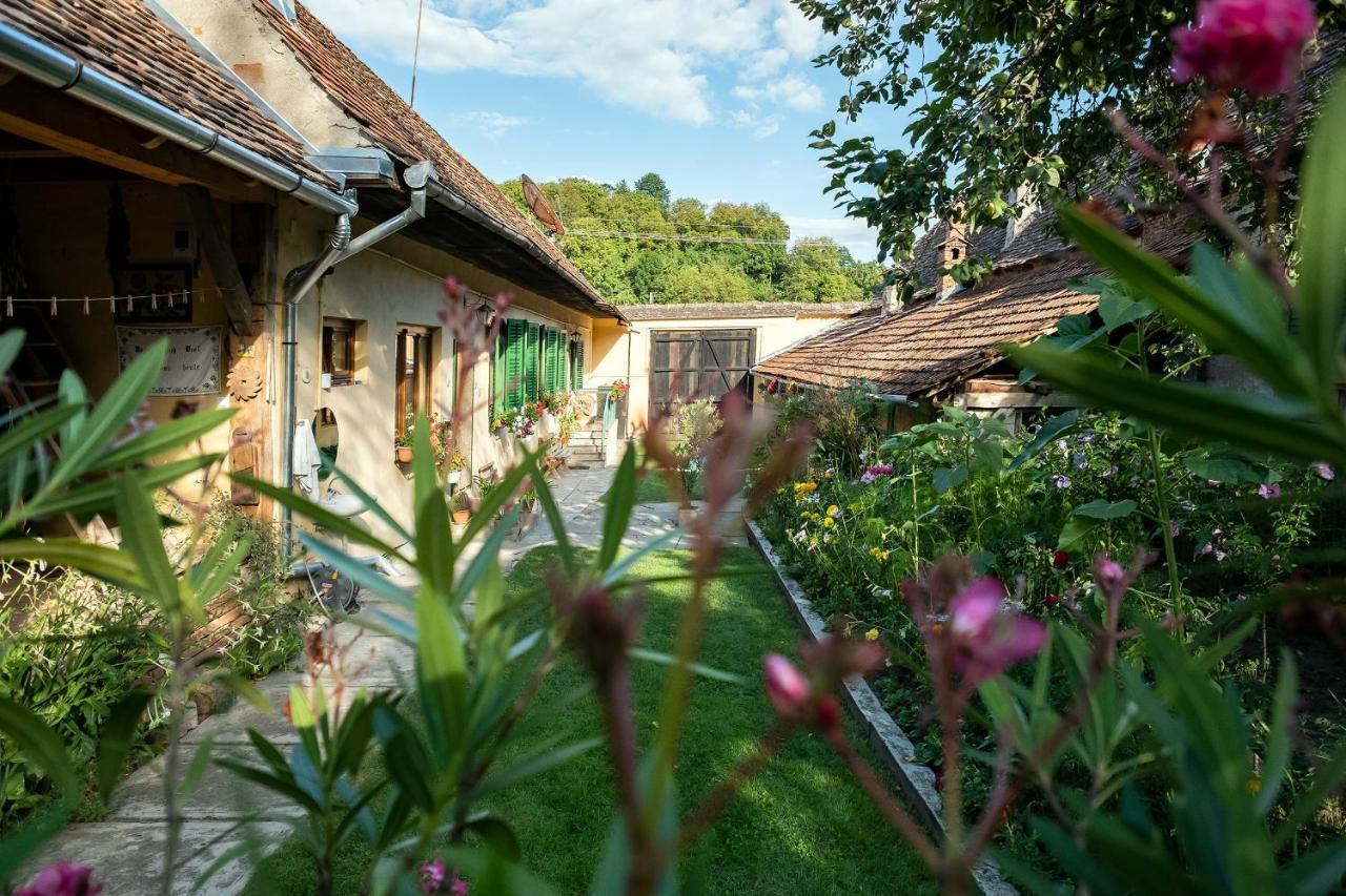 Villa Rihuini Eco Wine House Transylvania Richisu Dış mekan fotoğraf