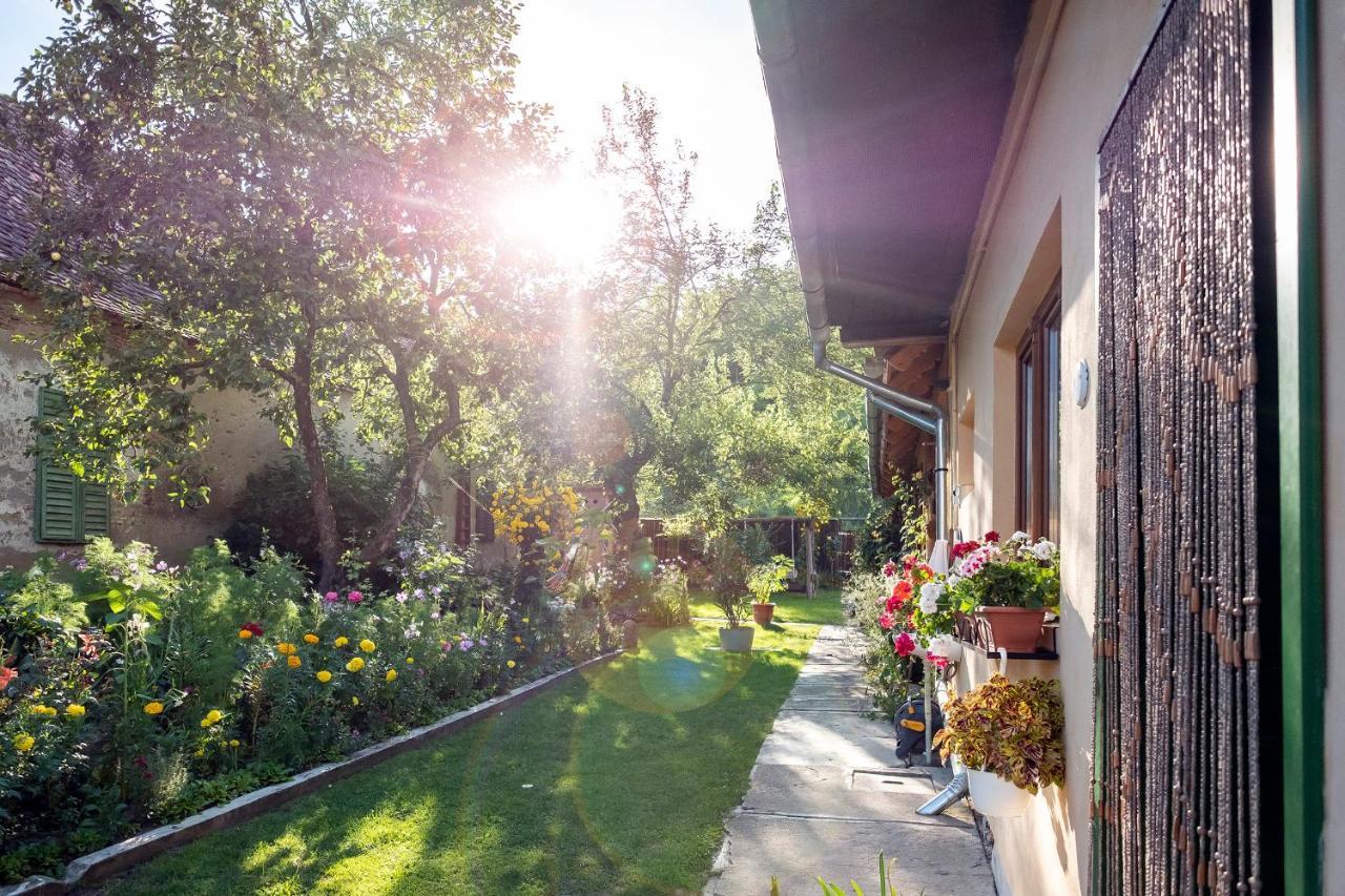 Villa Rihuini Eco Wine House Transylvania Richisu Dış mekan fotoğraf