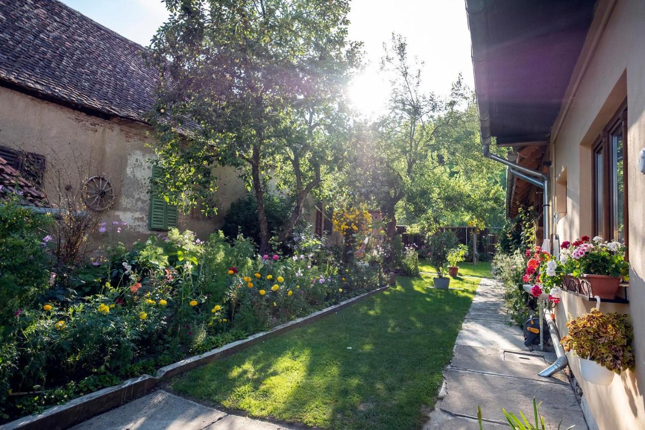 Villa Rihuini Eco Wine House Transylvania Richisu Dış mekan fotoğraf