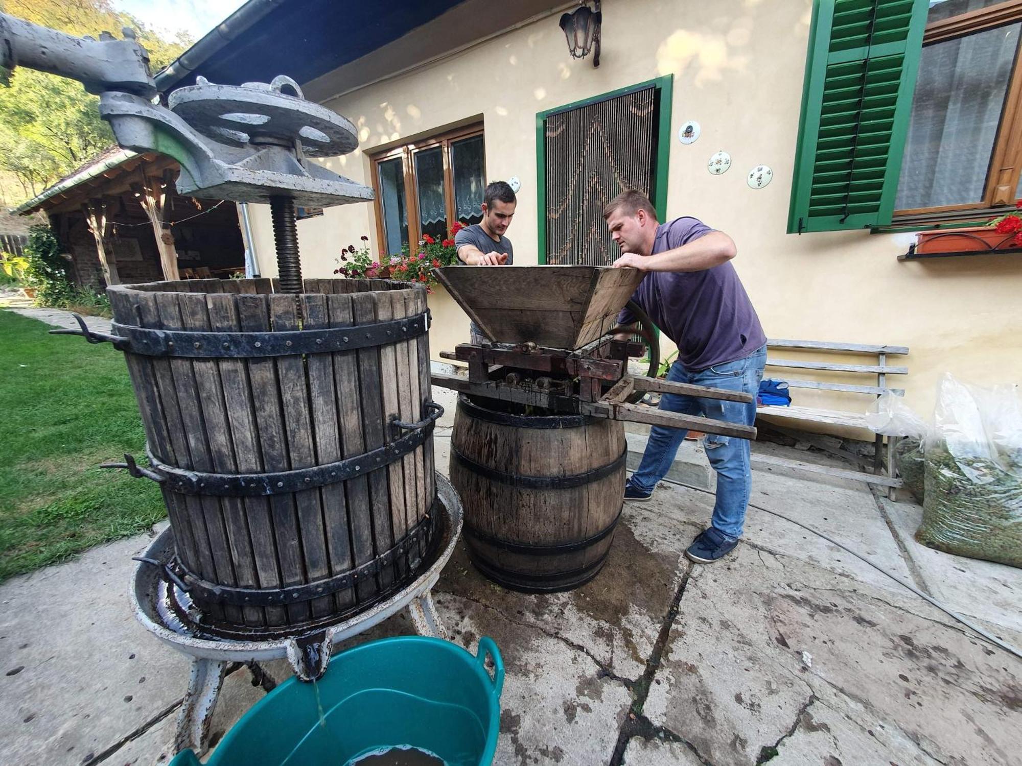 Villa Rihuini Eco Wine House Transylvania Richisu Dış mekan fotoğraf