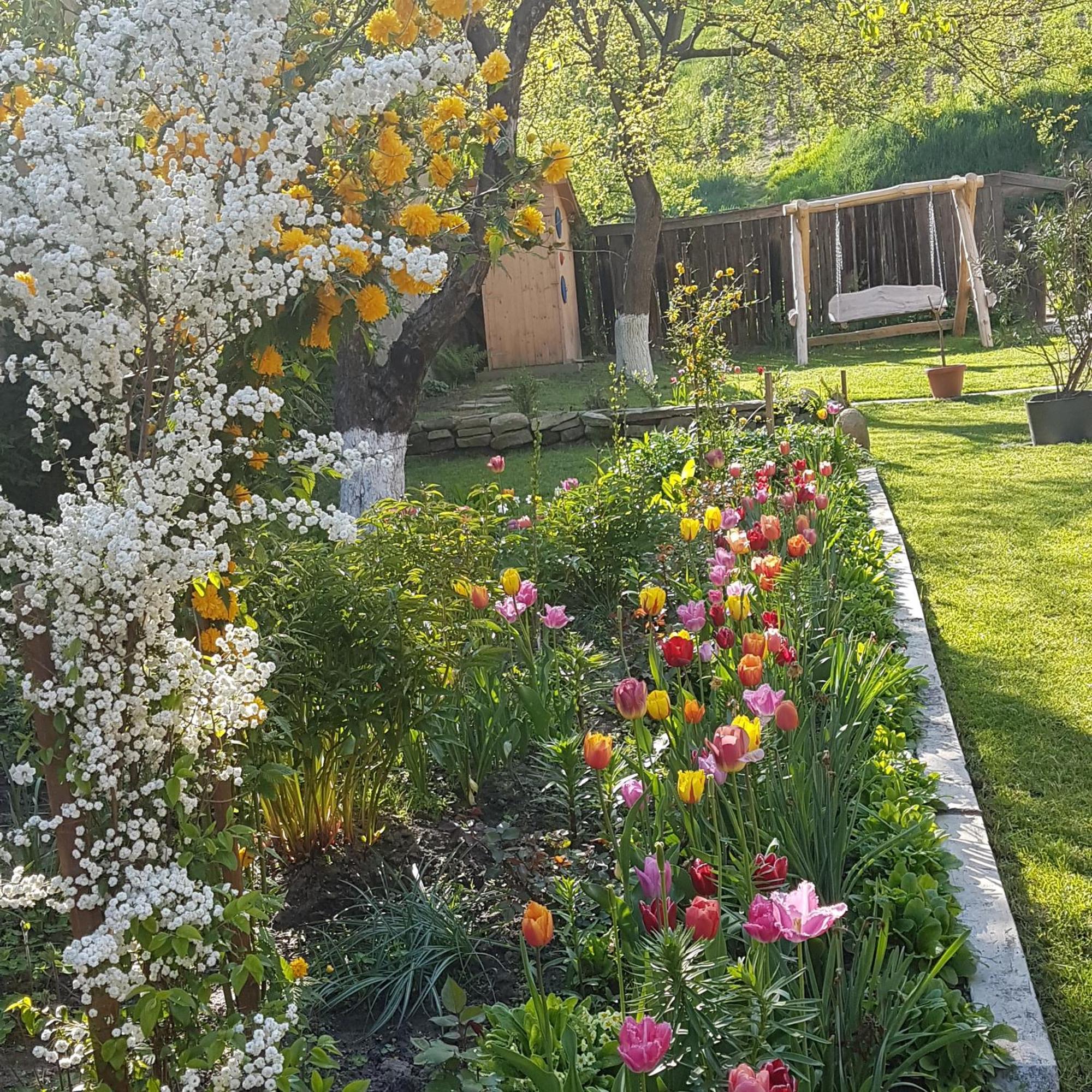 Villa Rihuini Eco Wine House Transylvania Richisu Dış mekan fotoğraf